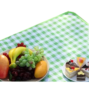 Tapis pique-nique Portable vert imperméable pliable antidérapant